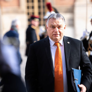 #Analyse #Normal #Orbán #gen #Steroiden #Analyse #Normal #Orbán #gen #Steroiden