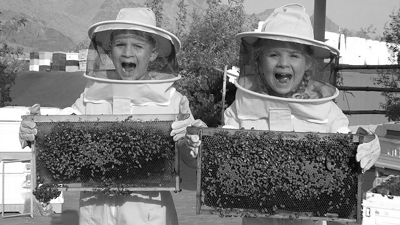 Diana and Roma Learn about Bees, HATTA Honey Bee Backyard Tour – Fun family journey