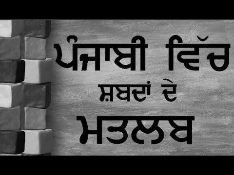 ਪੰਜਾਬੀ ਸਿੱਖੋ |  Be taught Punjabi Language With Sentences For Rookies |  Pronounce The Matra & Vowels